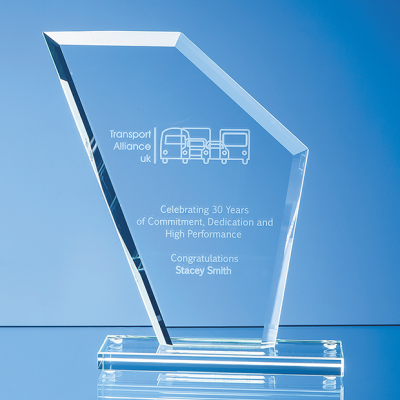 19,5CM x 16,5CM x 1CM JADE GLASS BEVELLED EDGE WING AWARD