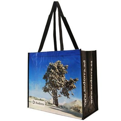 KNOWSLEY GLOSSY LAMINATED WOVEN PP BAG FOR LIFE with Long Handles