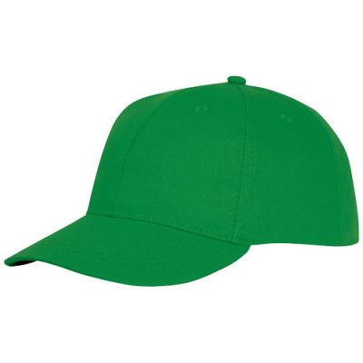 ARES 6 PANEL CAP in Fern Green