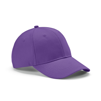 DARRELL CAP in Purple