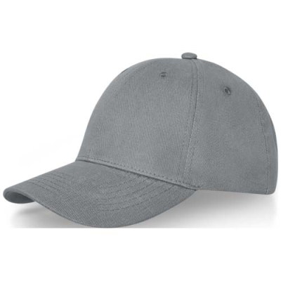 DAVIS 6 PANEL CAP in Grey