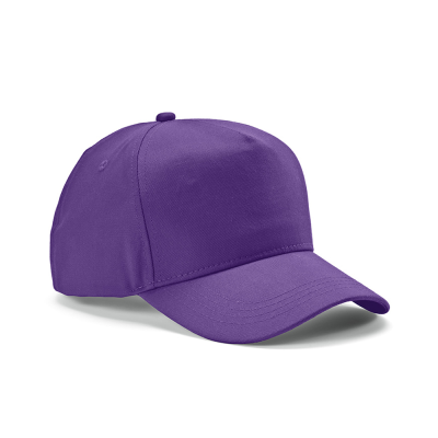 HENDRIX CAP in Purple