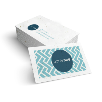 SEEDED PAPER BUSINESS CARDS (2PP)