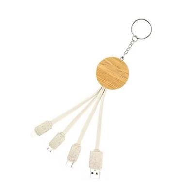 EECO-FRIENDIY MUITI-USE CHARGER CABLE with Keyring