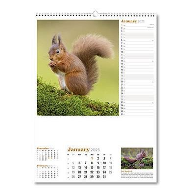 WILDLIFE IN BRITAIN WALL CALENDAR