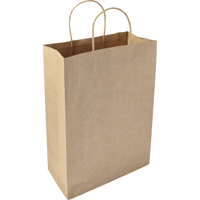 PAPER BAG (LARGE) in Brown