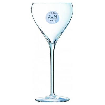 BRIO COUPE CHAMPAGNE GLASS (210ML & 7