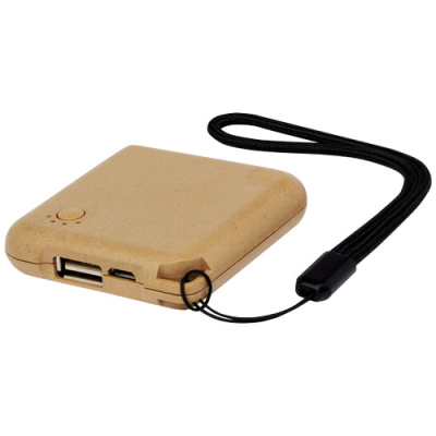 ECO 2000 MAH POWER BANK in Natural