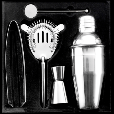 COCKTAIL SHAKER SET in Silver