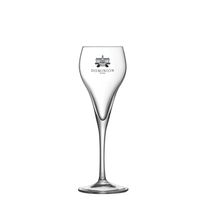 BRIO CHAMPAGNE FLUTE GLASS (95ML & 3