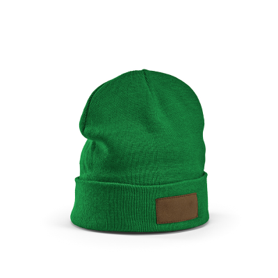 COBAIN BEANIE in Dark Green