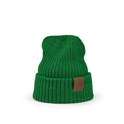 TUPAC BEANIE in Dark Green