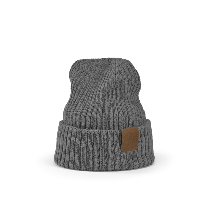 TUPAC BEANIE in Grey