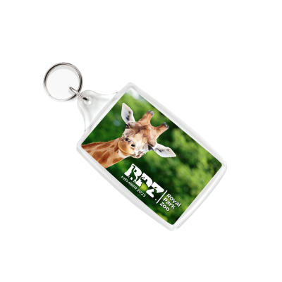 ACRYLIC INSERT KEYRING - L4 96MM x 55MM in Clear Transparent 