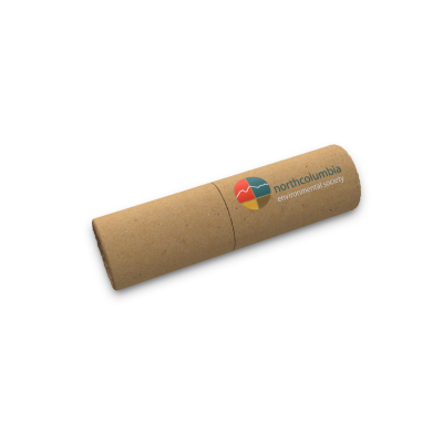 ED5 ECO FRIENDLY USB MEMORY STICK