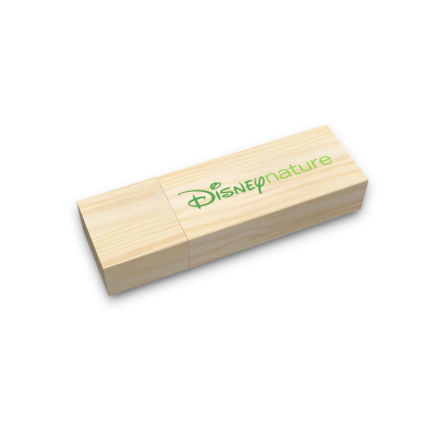 WD6 WOOD USB MEMORY STICK