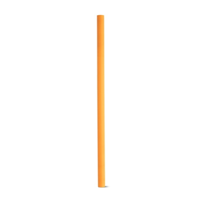 LUCIAN NEON FLUORESCENT FLUORESCENT WOOD PENCIL in Orange