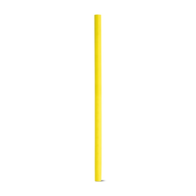 LUCIAN NEON FLUORESCENT FLUORESCENT WOOD PENCIL in Yellow