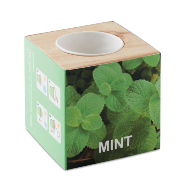 HERB POT WOOD MINT in Brown