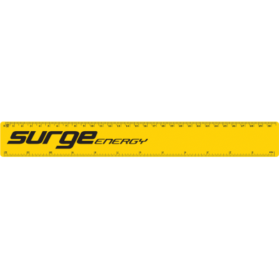 30CM & 12 INCH RULER YELLOW