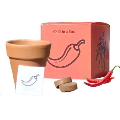 CHILLI in a Box