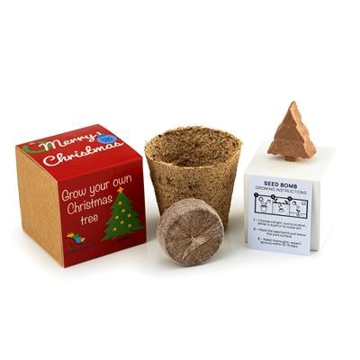 CHRISTMAS TREE SEEDS BOMB KIT