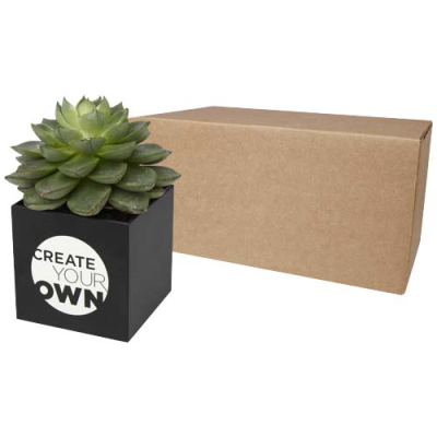 HEY POTS ALUMINIUM METAL PLANTED POT - SUCCULENT in Solid Black