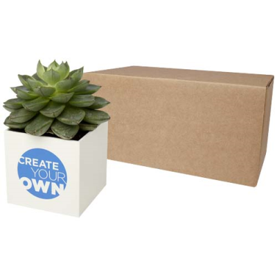 HEY POTS ALUMINIUM METAL PLANTED POT - SUCCULENT in White