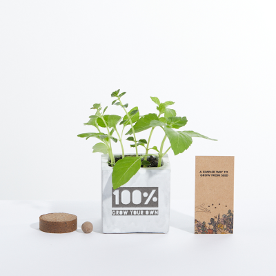 SMALL CONCRETE GROW KIT