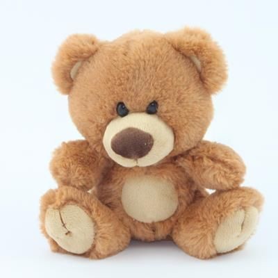 15CM CHARLIE BEAR with Tee Shirt