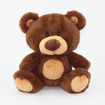 15CM CHARLIE BEAR with Tee Shirt