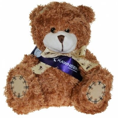 18CM PAW BEAR with Sash