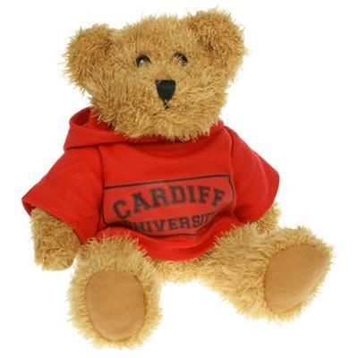 20CM SPARKIE BEAR with Hoody