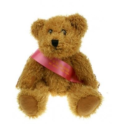 20CM SPARKIE BEAR with Sash