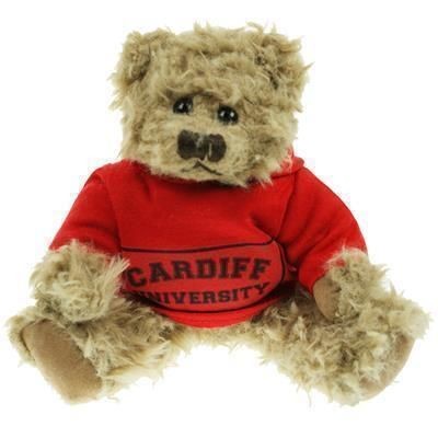 20CM WINDSOR BEAR with Hoody