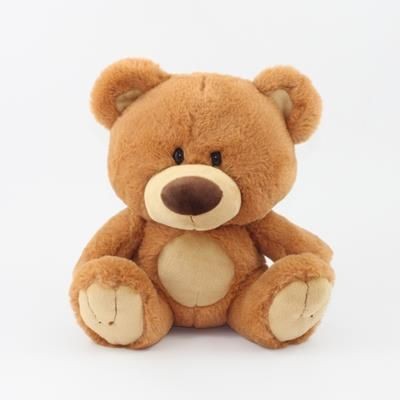 25CM CHARLIE BEAR with Tee Shirt