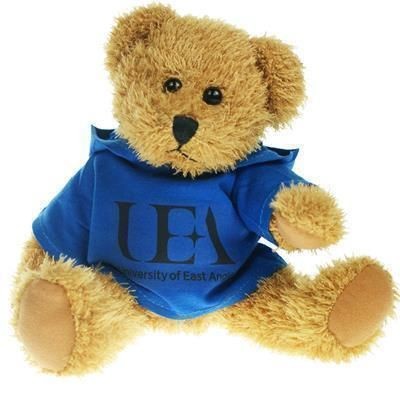 25CM SPARKIE BEAR with Hoody