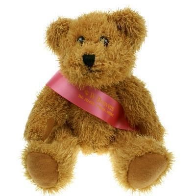 25CM SPARKIE BEAR with Sash