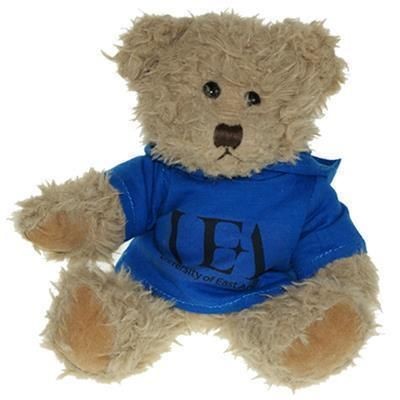 25CM WINDSOR BEAR with Hoody