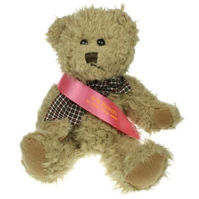 25CM WINDSOR BEAR with Sash