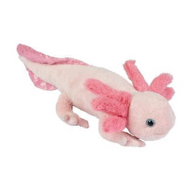 AXOLOTL