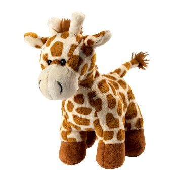 CARLA GIRAFFE