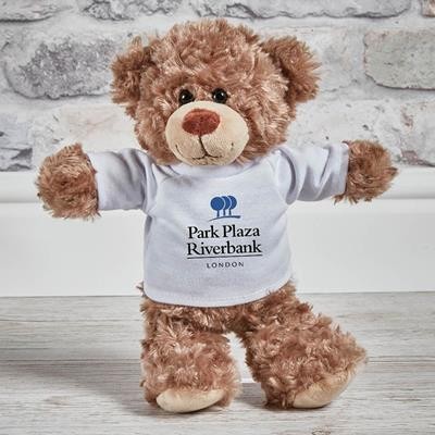 EXPRESS SMALL BODDIE BEAR with Tee Shirt