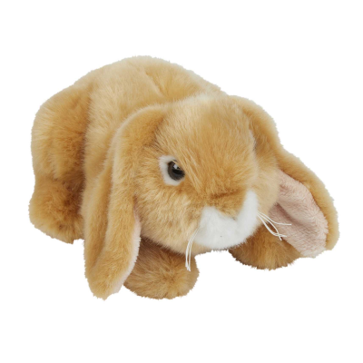 LOP-EARED RABBIT