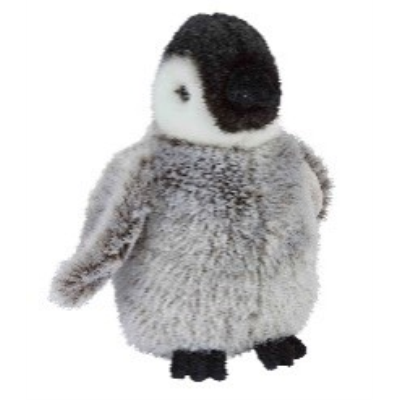 PENGUIN CHICK