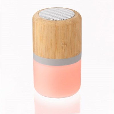 PLASTIC AND BAMBOO CORDLESS SPEAKER in Bamboo