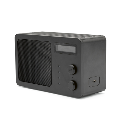 SOUNDVIEW SPEAKER in Black