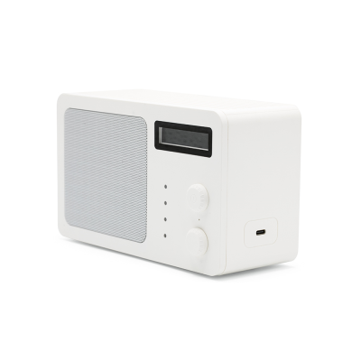 SOUNDVIEW SPEAKER in White