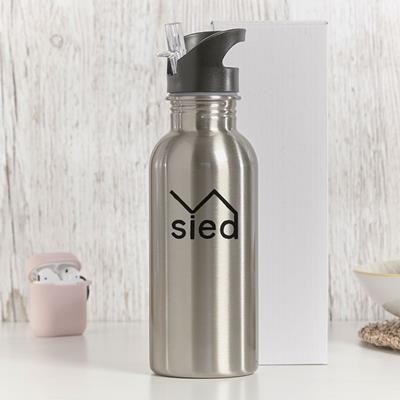 EXPRESS STAINLESS STEEL METAL 600ML WATER BOTTLE with Straw