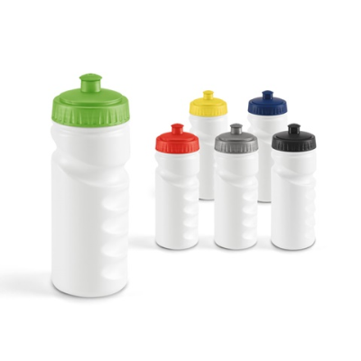 LOWRY 530 ML HDPE SPORTS BOTTLE